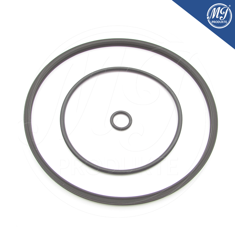 Toyota Lexus 29300-0W022 Vacuum pump seal kit