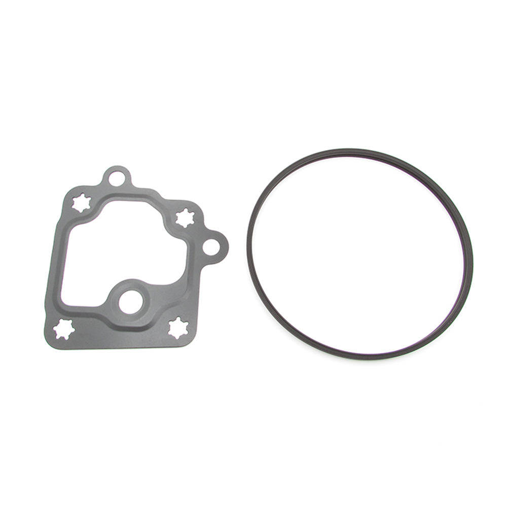 Buick Cadillac Chevrolet GMC 12696313 Vacuum pump seal kit