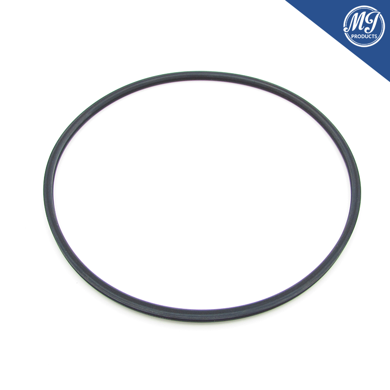 BMW N20 N26 Vacuum pump seal kit
