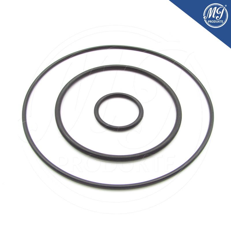 Citroen Peugeot 456587 Vacuum pump seal repair kit