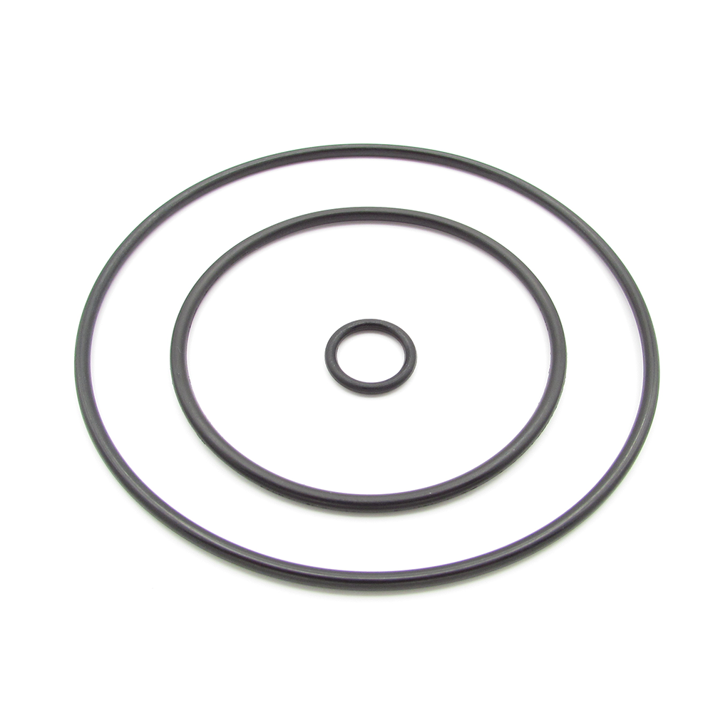 Citroen Peugeot 456585 Vacuum pump seal kit