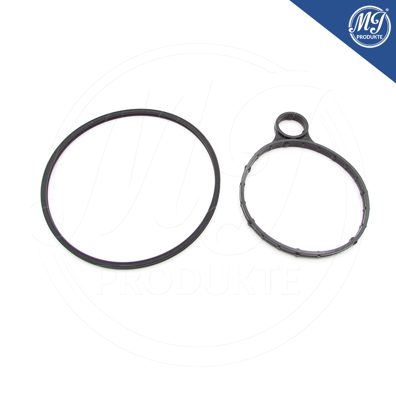 Ford BB5E-2A451-BB Vacuum pump seal kit
