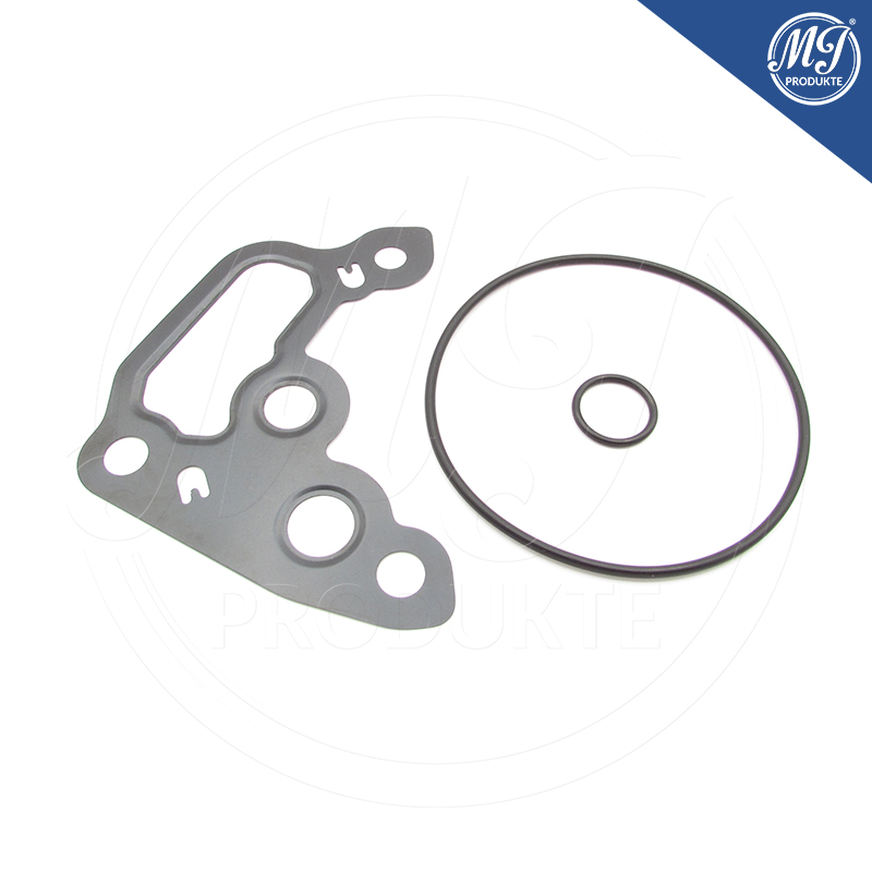 Buick Cadillac Chevrolet GMC 12673123 Vacuum pump seal kit