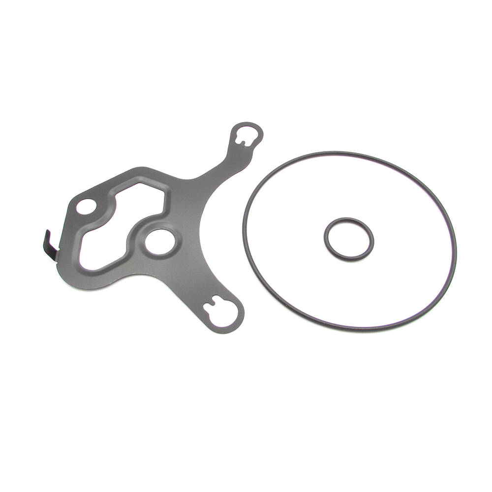 Buick Cadillac Chevrolet GMC 25202882 Vacuum pump seal kit