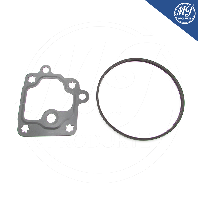 Buick Cadillac Chevrolet GMC 12669488 Vacuum pump seal kit