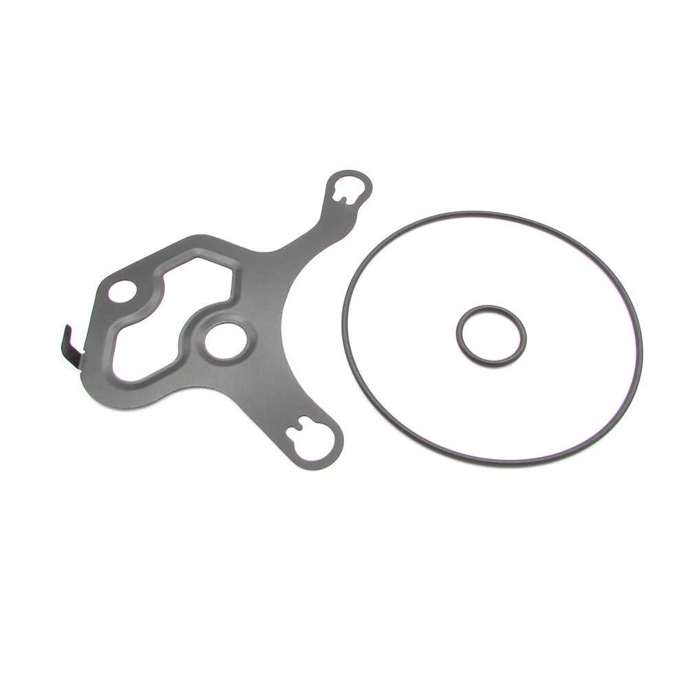 Buick Cadillac Chevrolet GMC 12660670 Vacuum pump seal kit