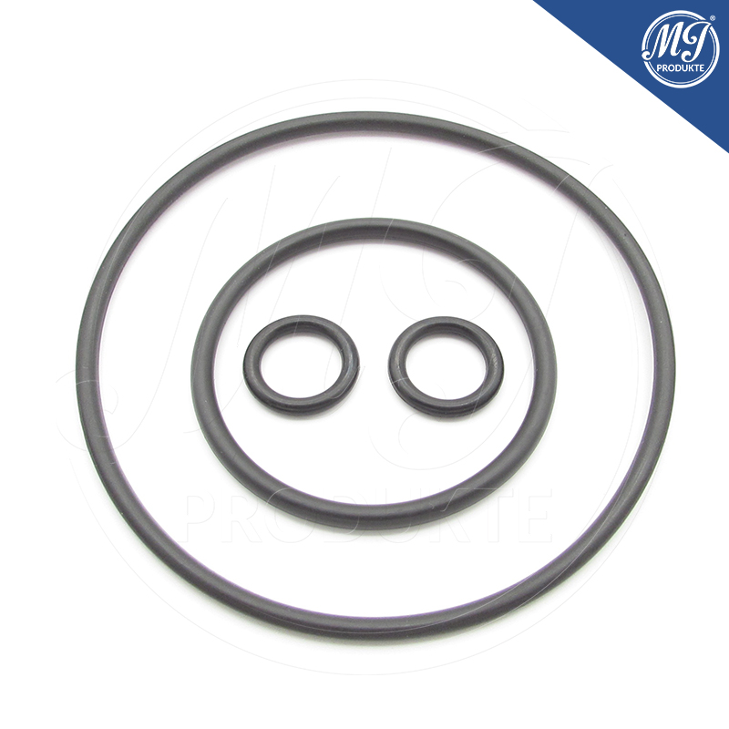 Toyota Lexus 29300-27010 Vacuum pump seal kit