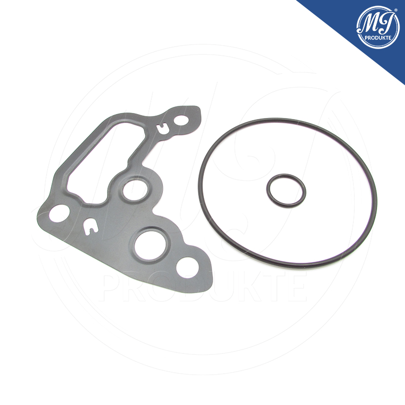 Buick Cadillac Chevrolet GMC 12662789 Vacuum pump seal kit