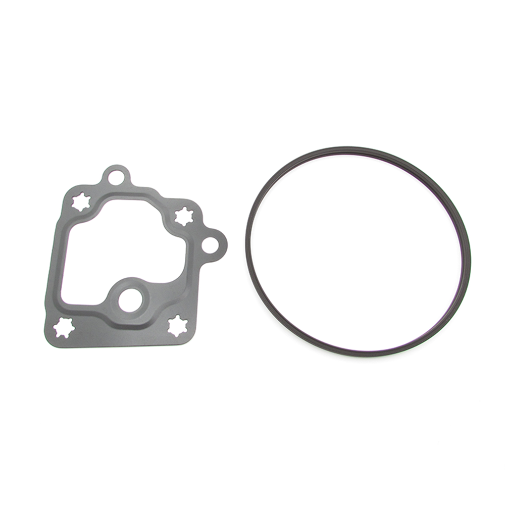 Buick Cadillac Chevrolet GMC 12662552 Vacuum pump seal kit