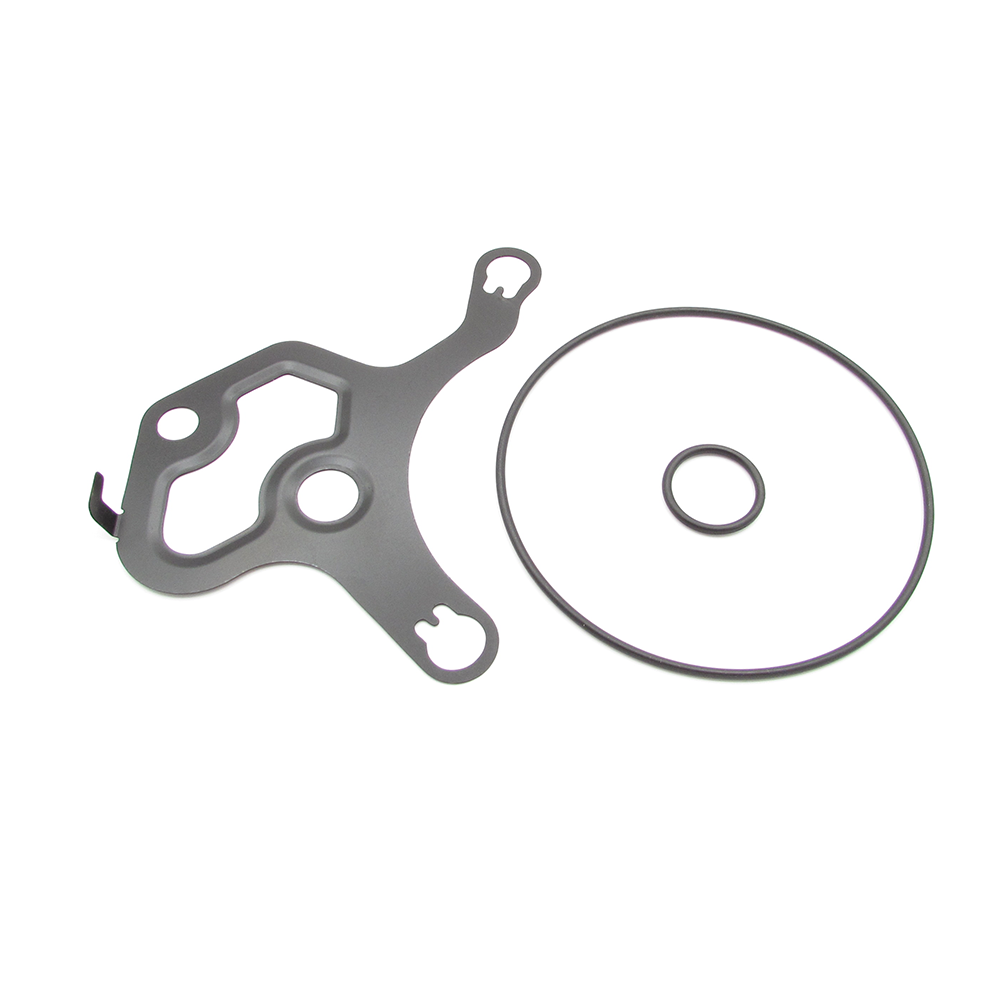 Buick Cadillac Chevrolet GMC 12658172 Vacuum pump seal kit