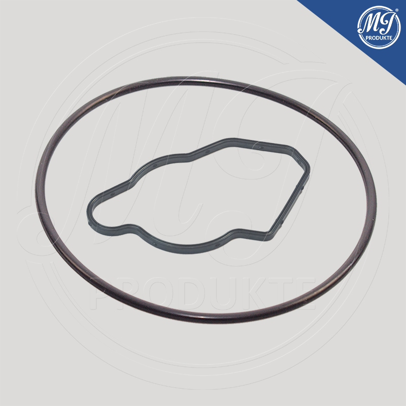 Mercedes A6402300465 Vacuum pump seal kit