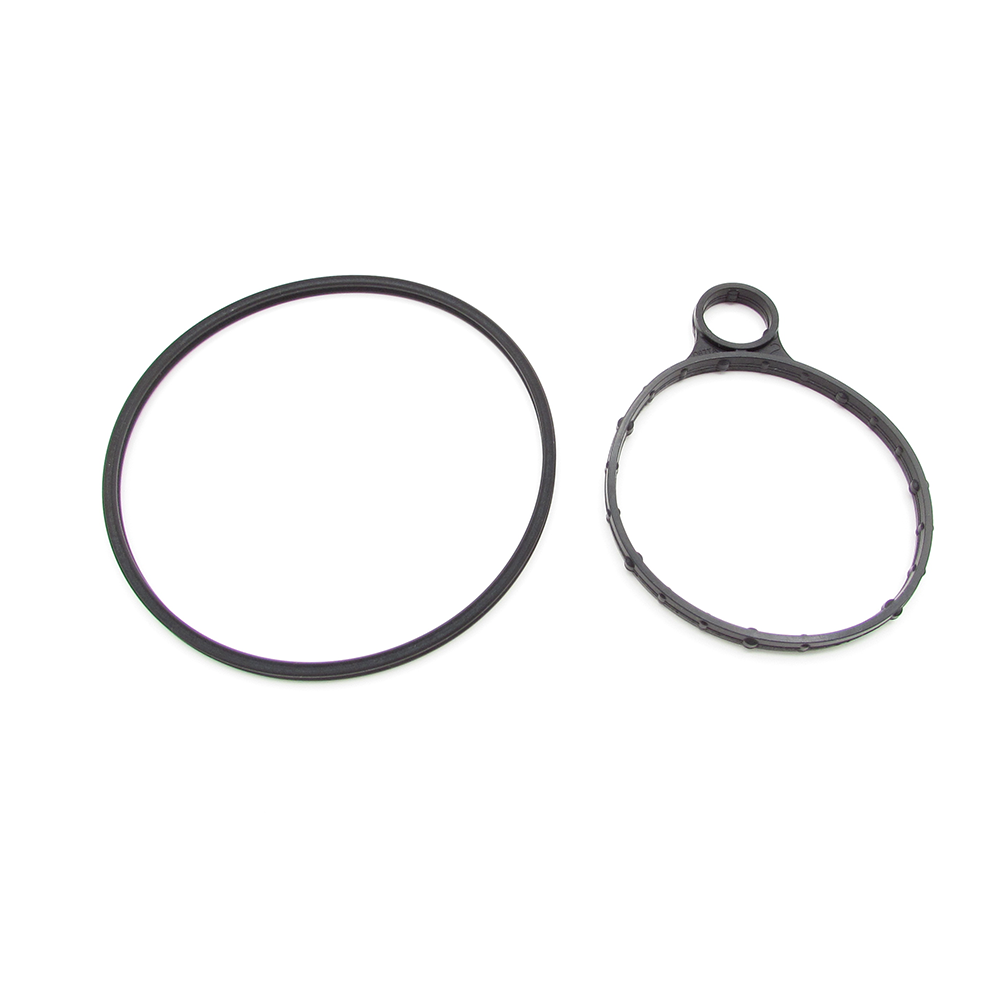 Ford 5235113 Vacuum pump seal kit
