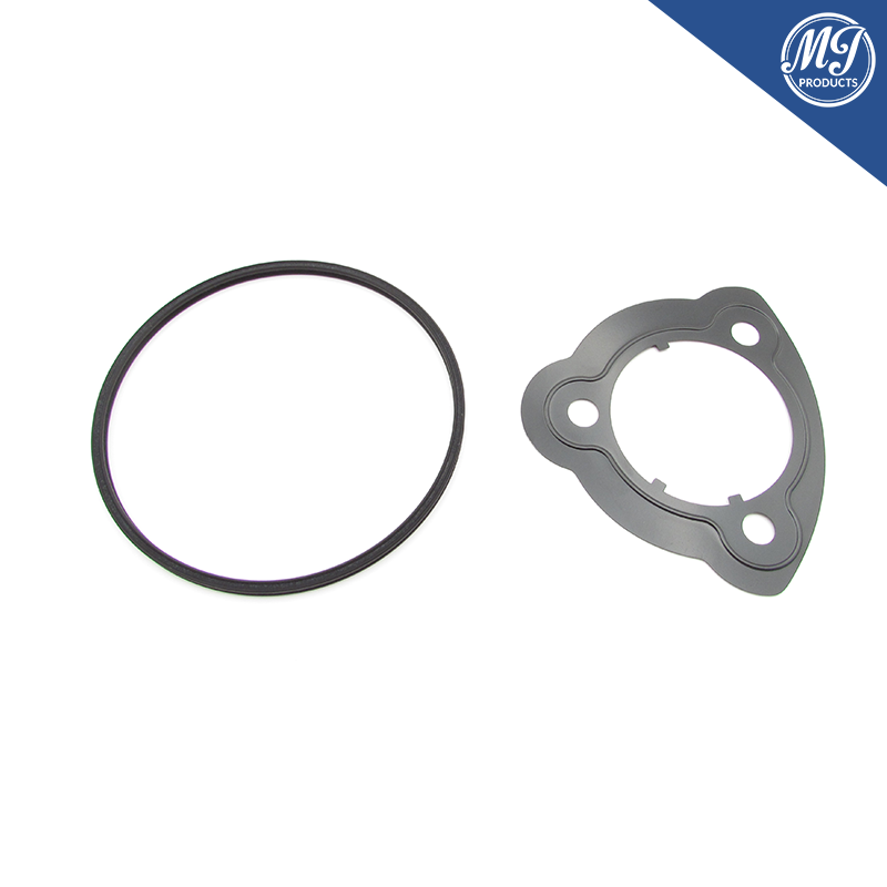 BMW N51 N52 Vacuum pump seal kit