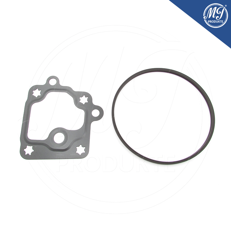 Buick Cadillac Chevrolet GMC 12659655 Vacuum pump seal kit