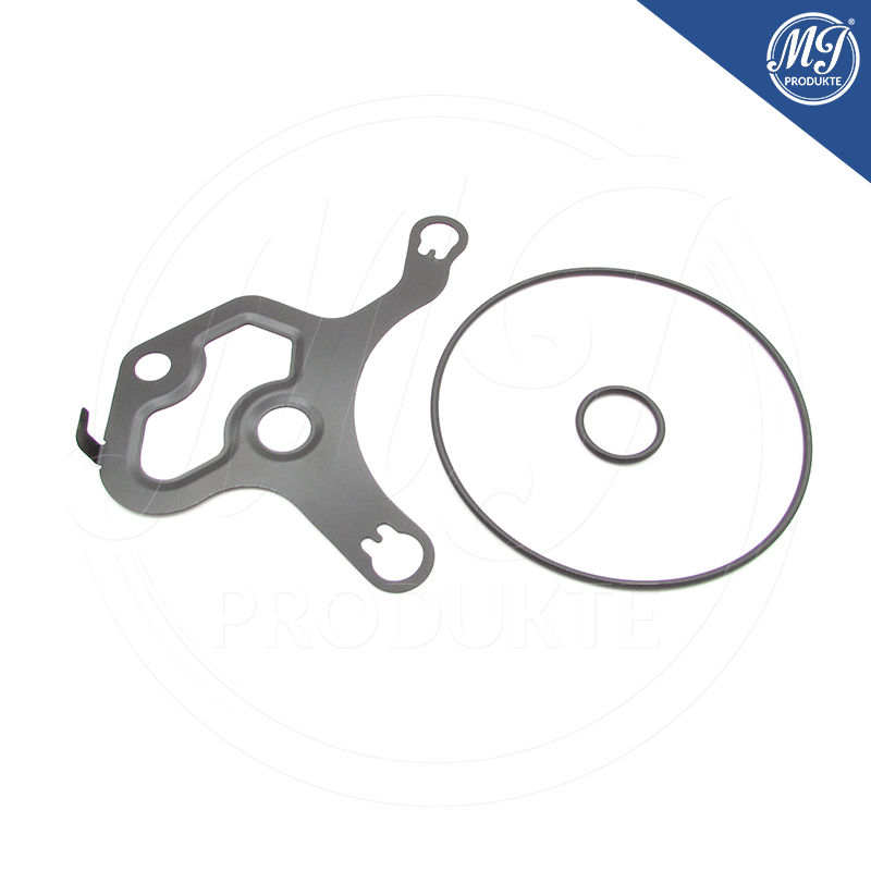 Buick Cadillac Chevrolet GMC 12684548 Vacuum pump seal kit