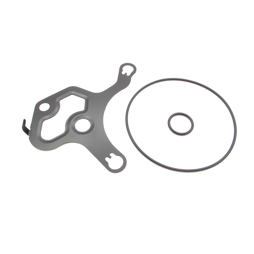 Buick Cadillac Chevrolet GMC 12684548 Vacuum pump seal kit