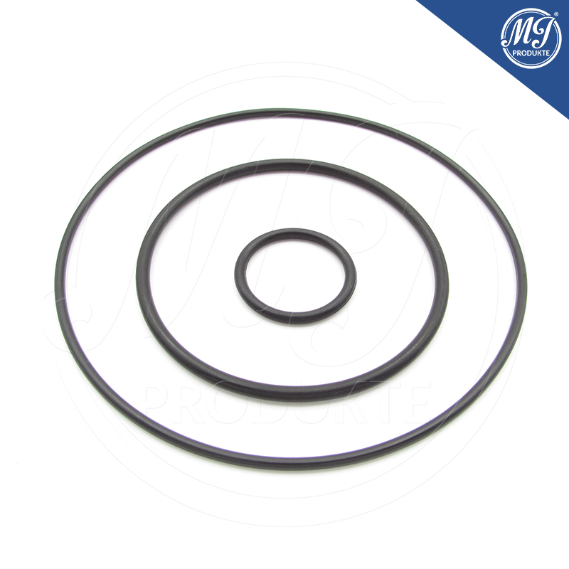 Ford 1543837 Vacuum pump seal repair kit