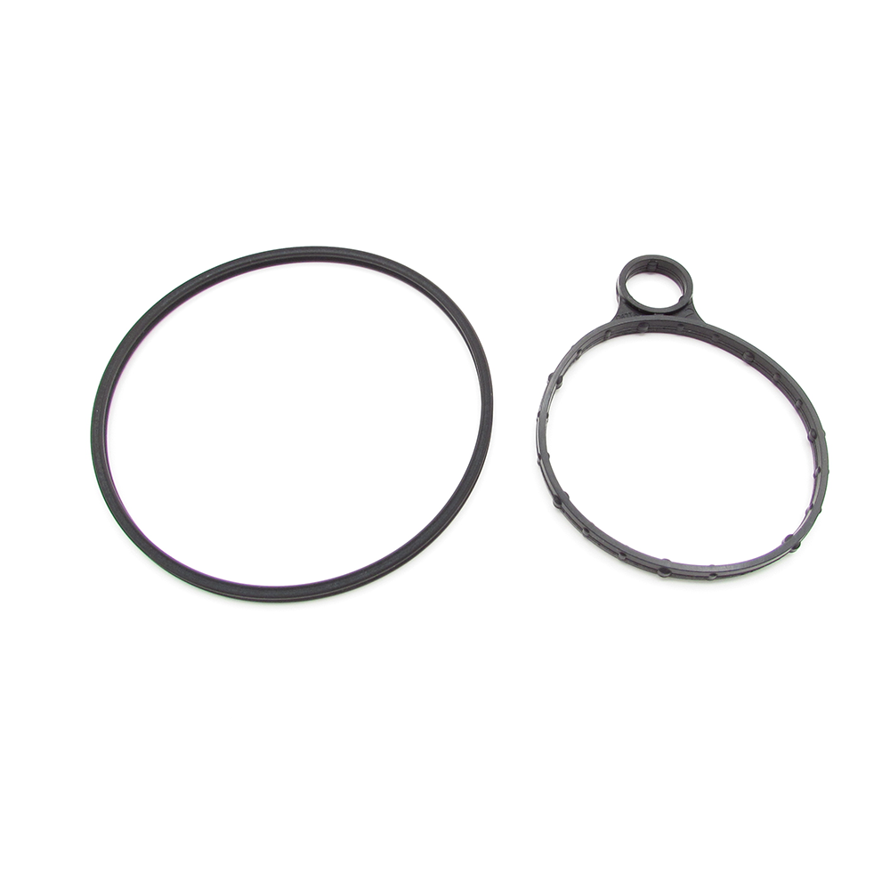 Ford BB5Z-2A451-C Vacuum pump seal kit
