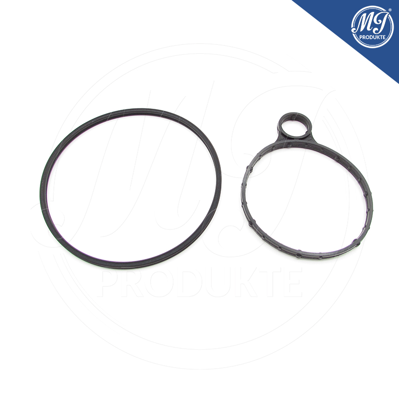 Ford BB5Z-2A451-BC Vacuum pump seal kit