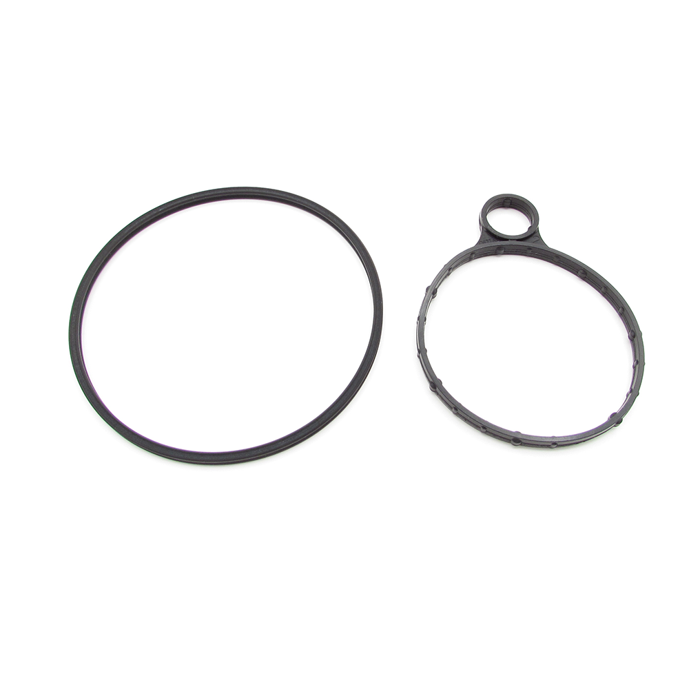 Ford BB5Z-2A451-BC Vacuum pump seal kit
