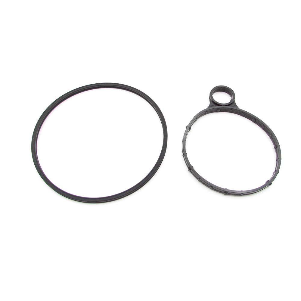 Ford BB5Z-2A451-D Vacuum pump seal kit