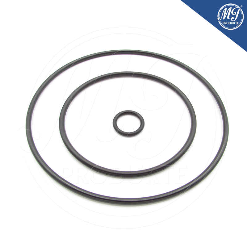 Citroen Peugeot 456578 Vacuum pump seal kit