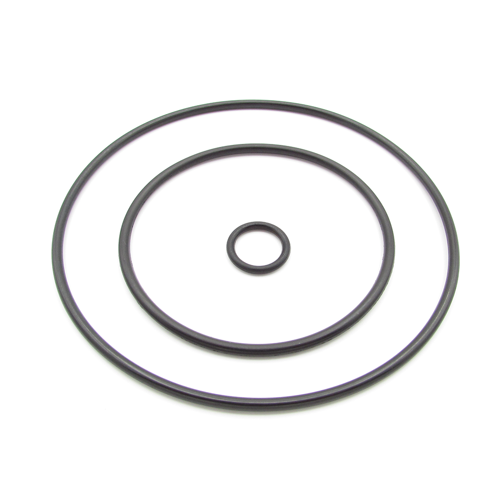 Citroen Peugeot 456578 Vacuum pump seal kit