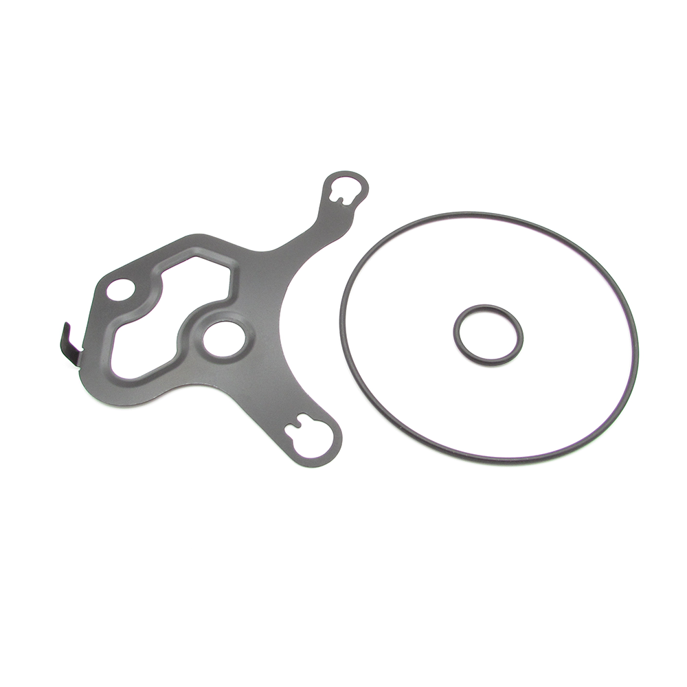 Buick Cadillac Chevrolet GMC 12673081 Vacuum pump seal kit